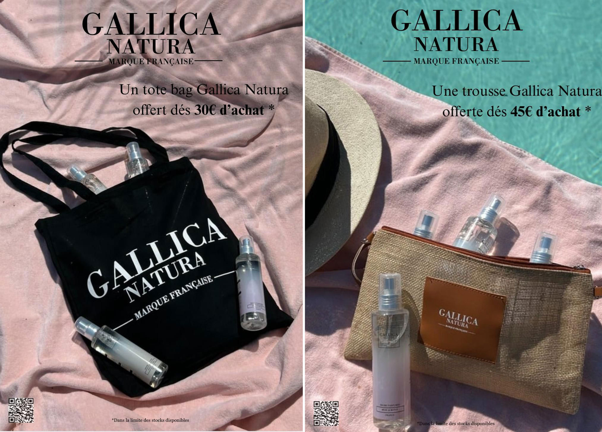 offre Gallica